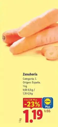 Lidl Zanahoria oferta