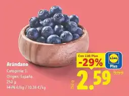 Lidl Arándano oferta