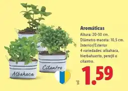 Lidl Aromaticas oferta