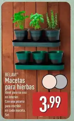 ALDI Belavi - macetas para hierbas oferta