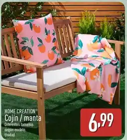 ALDI Home creation - cojin / manta oferta