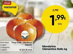 FROIZ Mandarina Clementina Bollo kg oferta