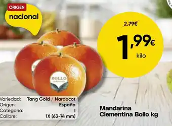 Mandarina Clementina Bollo kg
