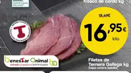 FROIZ Filetes de Ternera Gallega kg oferta