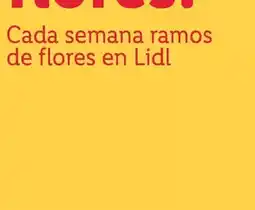 Lidl Flor de cera copa oferta