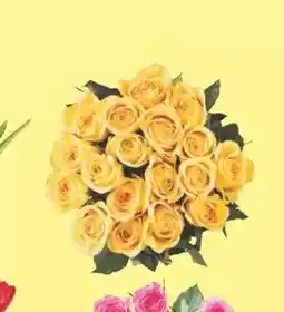 Lidl Planta mini oferta