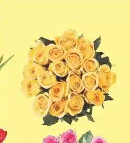 Lidl Planta mini oferta