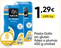 FROIZ GALLO Pasta sin gluten fideo o plumas oferta