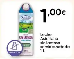 FROIZ ASTURIANA Leche sin lactosa semidesnatada oferta