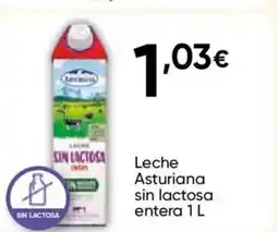 FROIZ ASTURIANA Leche sin lactosa entera oferta