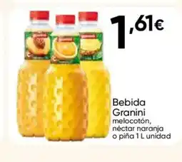 FROIZ GRANINI Bebida oferta