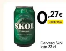 FROIZ SKOL Cerveza lata oferta
