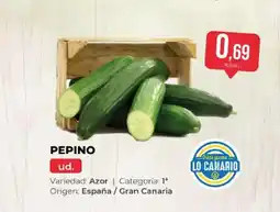 SPAR Pepino oferta