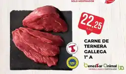 SPAR Carne de ternera gallega oferta