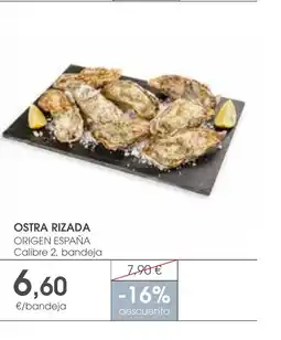 Supermercados Plaza Ostra rizada oferta