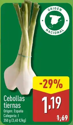 ALDI Cebollas tiernas oferta
