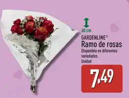 ALDI GARDENLINE Ramo de rosas oferta