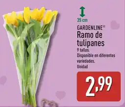 ALDI GARDENLINE Ramo de tulipanes oferta