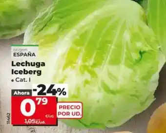 Dia Lechuga iceberg oferta