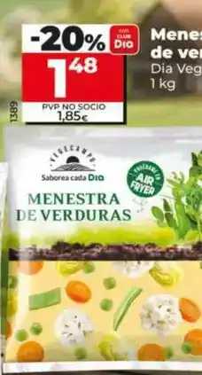 Dia Dia vegecampo - menestra de verduras oferta