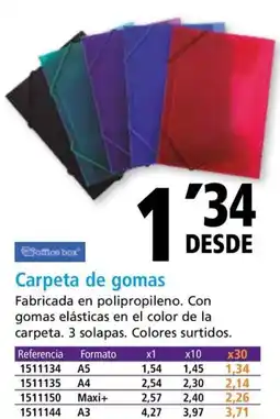Folder Carpeta de gomas oferta