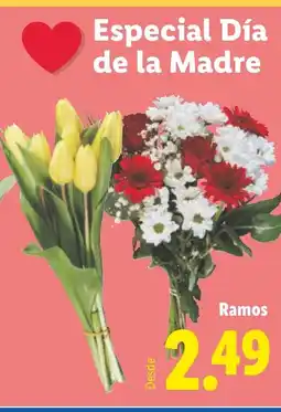 Lidl Ramos oferta