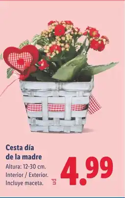 Lidl Cesta día de la madre oferta