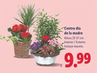 Centro día de la madre