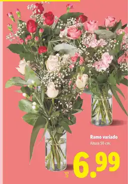 Lidl Ramo variado oferta