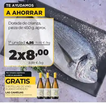 Dorada de crianza