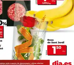 Dia Rosa de Sant Jordi oferta