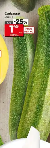 Dia Carbassó oferta