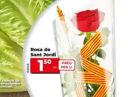 Dia Rosa de Sant Jordi oferta