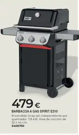 BigMat Barbacoa a gas spirit e310 oferta