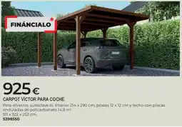 BigMat Carpot víctor para coche oferta