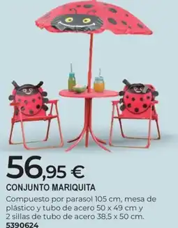 BigMat Conjunto mariquita oferta