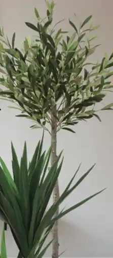 BigMat Olivo artificial oferta