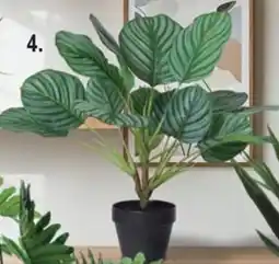 BigMat Planta artificial calathea oferta