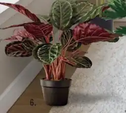 BigMat Planta artificial calathea oferta