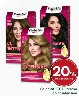 Supermercados Dani PALETTE Color creme color intensive oferta