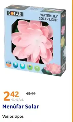 Action Nenúfar Solar oferta