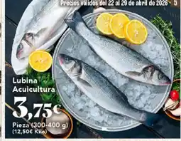 Gadis Lubina Acuicultura oferta