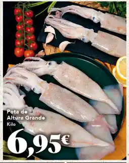 Gadis Pota do Altura Grande oferta