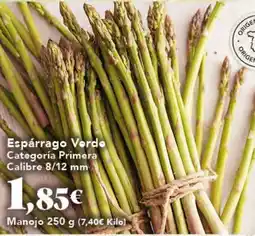 Gadis Espárrago Verde oferta