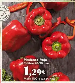 Gadis Pimiento Rojo oferta