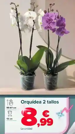 Carrefour Orquídea 2 tallos oferta