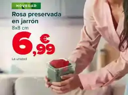 Carrefour Rosa preservada en jarrón oferta