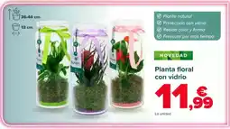 Carrefour Planta floral con vidrio oferta