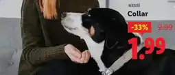 Ocine Kessi - collar oferta