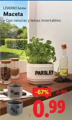 Ocine Livarno home - maceta oferta